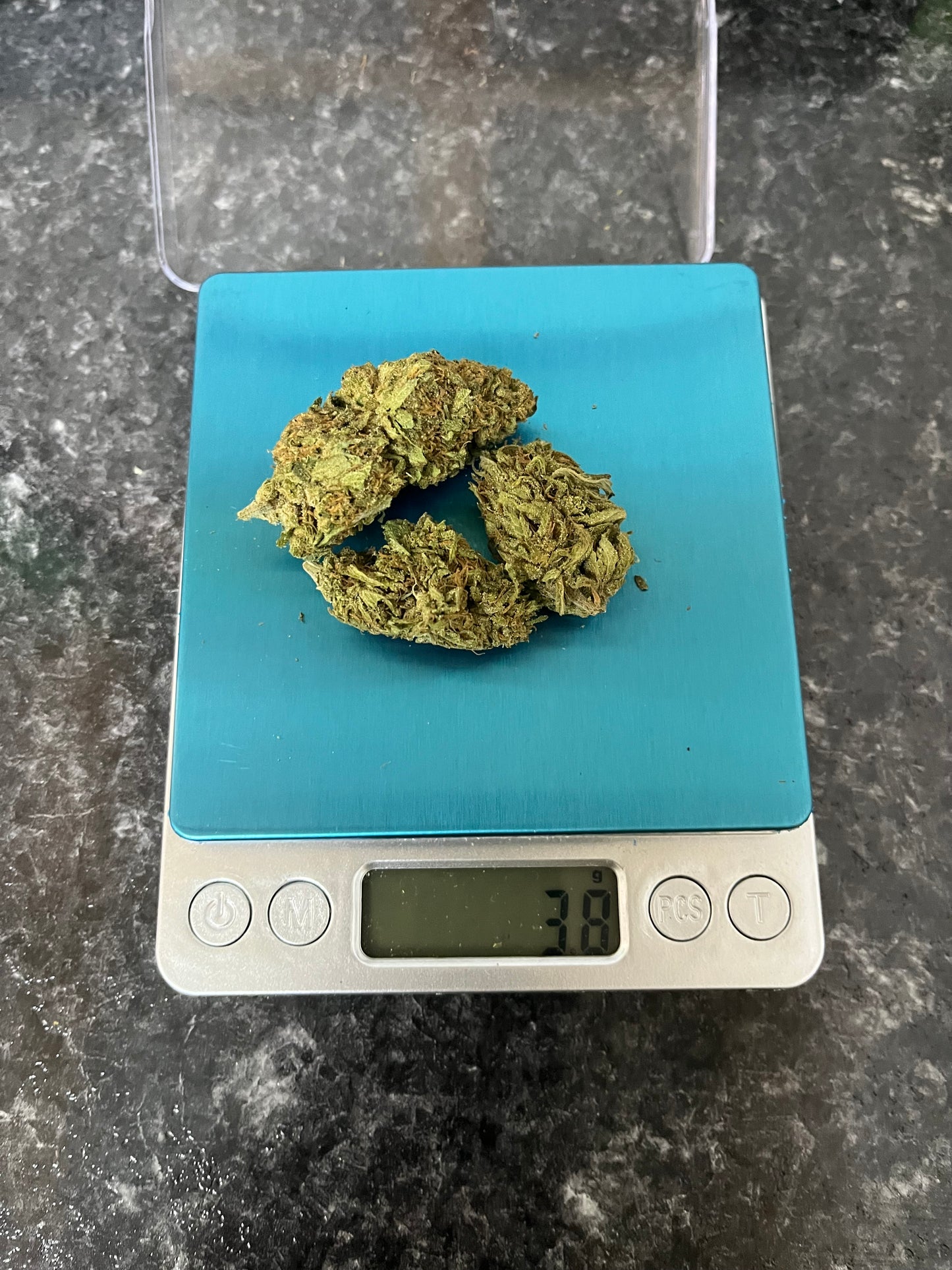 Slurricane-Indica