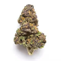 Strawberry Mimosa Sativa