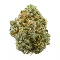Blue Dream Sativa-Hybrid