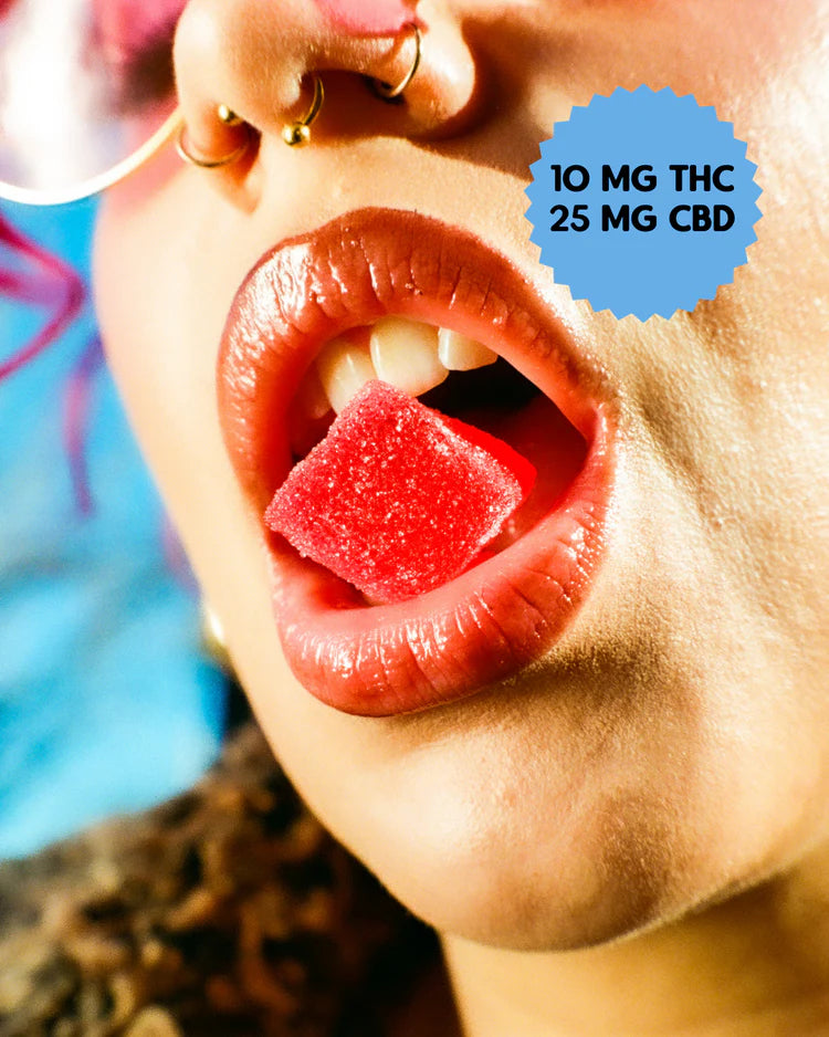 Go Easy Zen Gummies