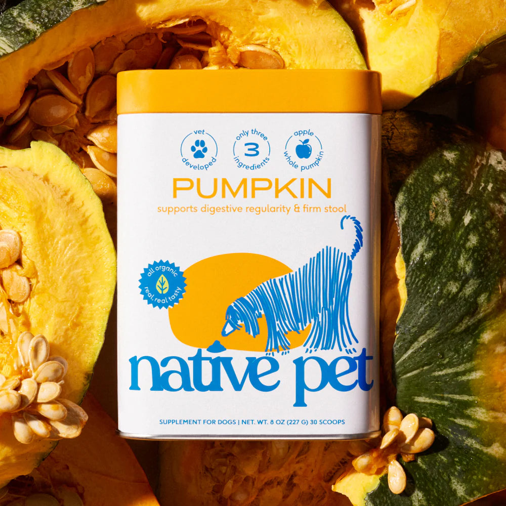 Pumpkin