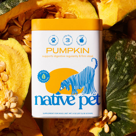 Pumpkin
