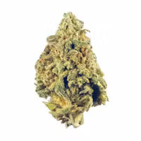 Donkey Butter indica