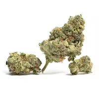 Motor Breath indica